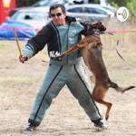 Dog Training Is My Passion Dog Training Is My Passion