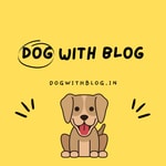 Dog with Blog Podcast Dog with Blog