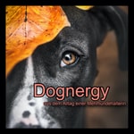 Logo of the podcast Dognergy - aus dem Alltag einer Mehrhundehalterin Podcast Dognergy - aus dem Alltag einer Mehrhundehalterin