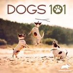 Logo of the podcast Dogs 101