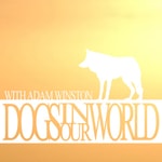 Missing podcast logo