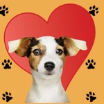Logo of the podcast Dog's Lovers Podcast Dog's Lovers