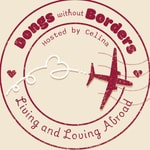 Logo of the podcast Dongs Without Borders Podcast Dongs Without Borders