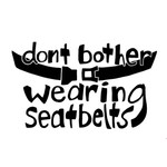 Don't Bother Wearing Seatbelts (An Elephant 6 Recording Company Podcast) Podcast Don't Bother Wearing Seatbelts (An Elephant 6 Recording Company Podcast)