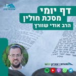 דף יומי הר עציון - חולין Podcast דף יומי הר עציון - חולין