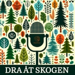 Logo of the podcast Dra åt skogen Podcast Dra åt skogen