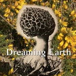 Logo of the podcast Dreaming Earth Podcast Dreaming Earth