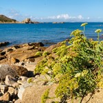 Du Diben à Rabat - Voyage Podcast Du Diben à Rabat - Voyage