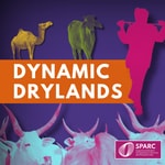 Logo of the podcast Dynamic Drylands Podcast Dynamic Drylands