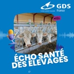Logo of the podcast Écho santé des Élevages Podcast Écho santé des Élevages