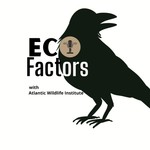 Logo of the podcast EcoFactors Podcast EcoFactors