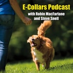 Logo of the podcast Ecollars Podcast Podcast Ecollars Podcast