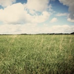 Logo of the podcast EcoSun Tall Grass Talk Podcast EcoSun Tall Grass Talk