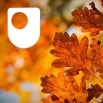 Logo of the podcast Ecosystems: the carbon cycle - for iPod/iPhone Podcast Ecosystems: the carbon cycle - for iPod/iPhone
