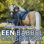 Logo of the podcast Een Babbel Om Gehinnik Podcast Een Babbel Om Gehinnik