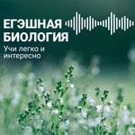 Logo of the podcast Егэшная биология Podcast Егэшная биология