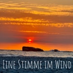Logo of the podcast Eine Stimme im Wind Podcast Eine Stimme im Wind