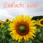 Logo of the podcast Einfach sein Podcast Einfach sein