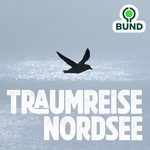 Podcast Eingetaucht in die Vielfalt der Nordsee