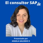 Logo of the podcast El Consultor SAP Podcast El Consultor SAP