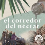 El corredor del néctar El corredor del néctar