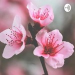 Logo of the podcast El Rincón de Hipatia🌸 Podcast El Rincón de Hipatia🌸