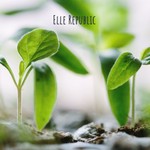 Logo of the podcast Elle Republic: Ein Biohof in Hamburg entwickelt die Zukunft der Landwirtschaft Podcast Elle Republic: Ein Biohof in Hamburg entwickelt die Zukunft der Landwirtschaft