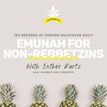 Logo of the podcast Emunah for Non-Rebbitzens Podcast Emunah for Non-Rebbitzens