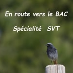 Logo of the podcast En route vers le bac- la SPE SVT Podcast En route vers le bac- la SPE SVT