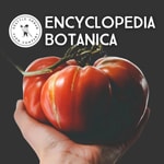 Encyclopedia Botanica Encyclopedia Botanica