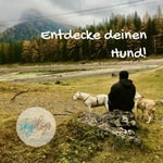 Entdecke deinen Hund
