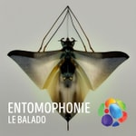 Logo of the podcast Entomophonie Podcast Entomophonie