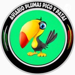 Logo of the podcast Entrevista a Edy Armario Podcast Entrevista a Edy Armario