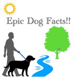 Logo of the podcast Epic Dog Facts! Podcast Epic Dog Facts!