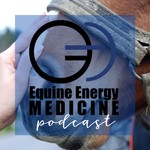 Equine Energy Medicine Podcast Equine Energy Medicine