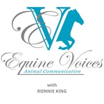 Equine Voices Podcast Podcast Equine Voices Podcast