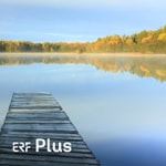 Logo of the podcast ERF Plus - Bibel heute Logo of the podcast ERF Plus - Bibel heute
