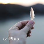 Logo of the podcast ERF Plus - Trauerzeiten Podcast ERF Plus - Trauerzeiten