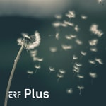 Podcast ERF Plus - Über das Loslassen