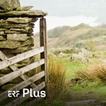 Logo of the podcast ERF Plus - Wort zum Tag Logo of the podcast ERF Plus - Wort zum Tag