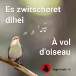 Logo of the podcast Es zwitscheret dihei Podcast Es zwitscheret dihei