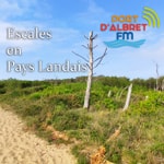 Logo of the podcast Escales en Pays Landais Podcast Escales en Pays Landais