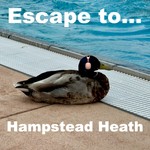 Logo of the podcast Escape to Hampstead Heath Podcast Escape to Hampstead Heath