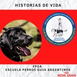 Logo of the podcast Escuela Perros Guia Argentinos Podcast Escuela Perros Guia Argentinos