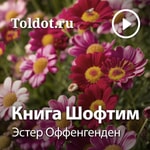 Logo of the podcast Эстер Оффенгенден — Книга Шофтим — Книга Судей Podcast Эстер Оффенгенден — Книга Шофтим — Книга Судей
