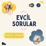 Logo of the podcast Evcil Sorular Podcast Evcil Sorular