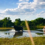 Podcast Everything Working Equitation