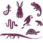 Logo of the podcast Exotic Pets⢠Podcast Exotic Petsā¢