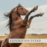 Logo of the podcast Expedition Pferd Podcast Expedition Pferd