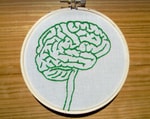 Logo of the podcast Explain the Brain Podcast Explain the Brain